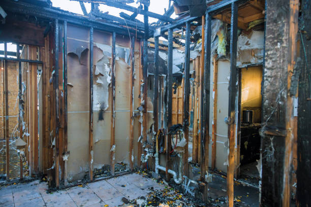 Professional Fire Damage Removal technician working in Harlan, IA